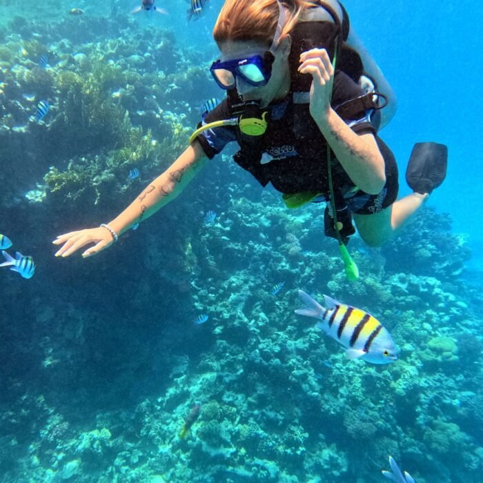 413b1caf-475f-4699-b88c-91b9002540c0