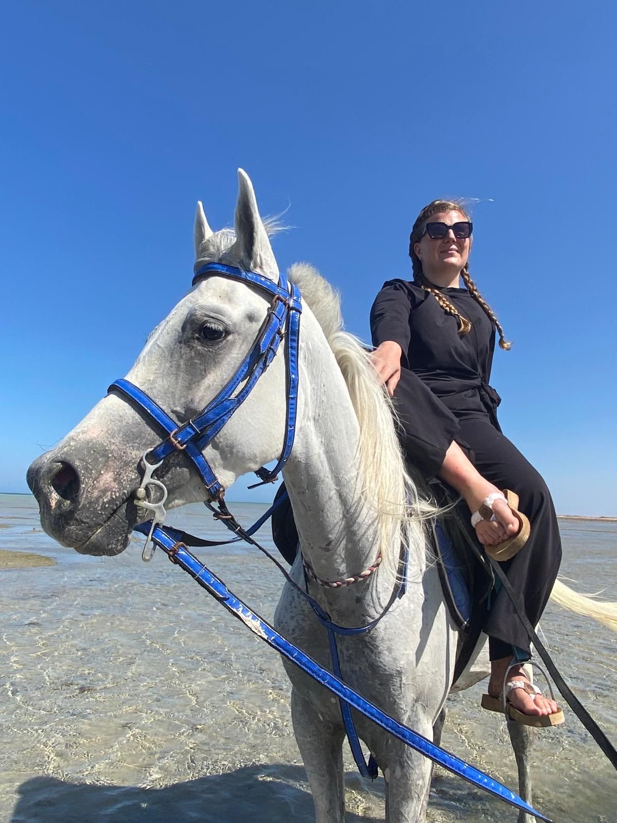 8f72f80f-7da3-4130-b37c-275bdb48bf6c