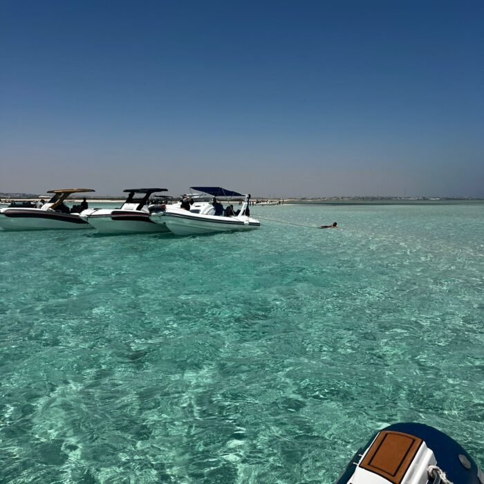 b5b6bb66-c39f-4cf2-b9c7-f18eecbd30bf